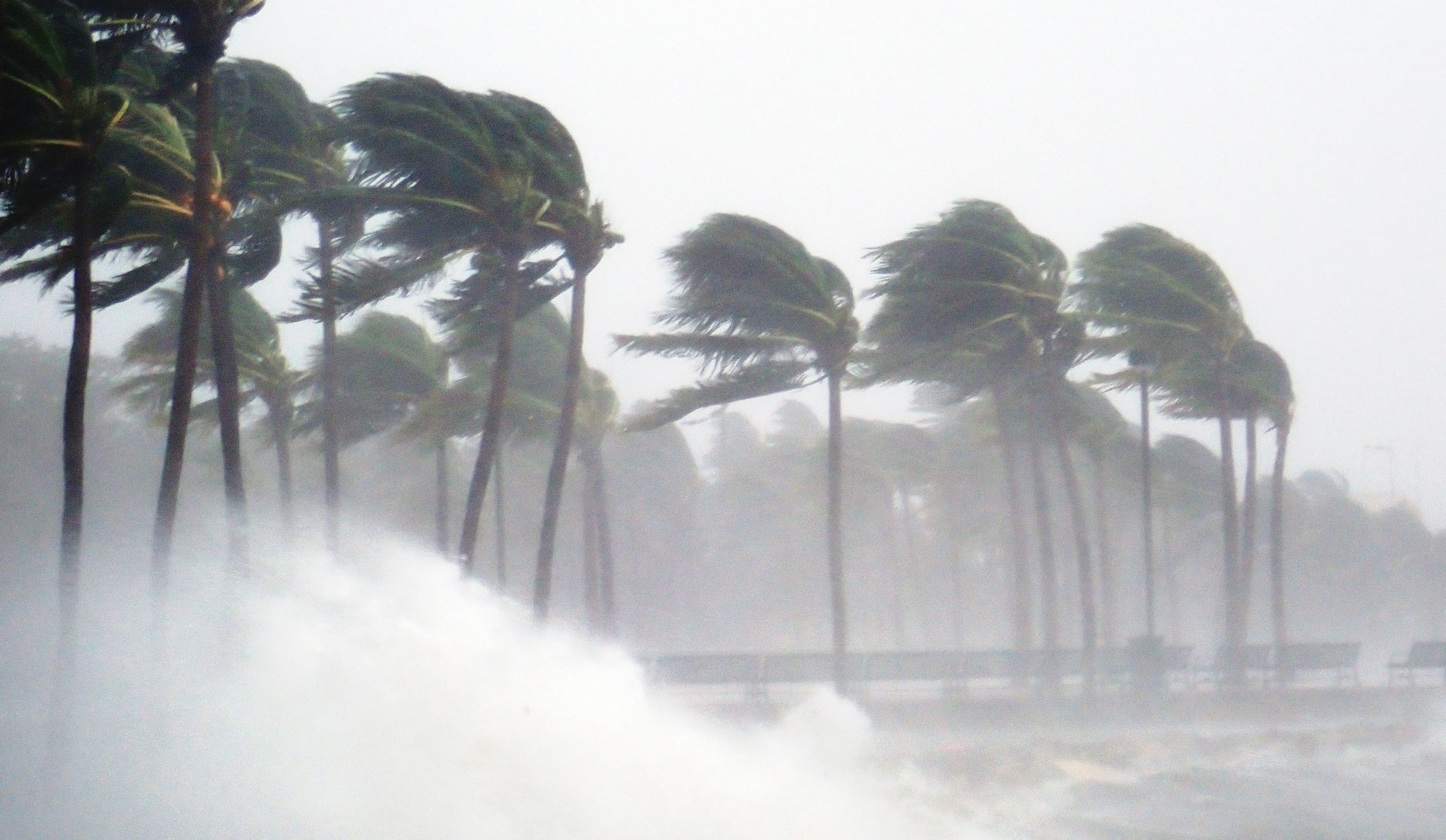 FEMA Approves Major Disaster Declaration for Western Pasco County Residents Affected 