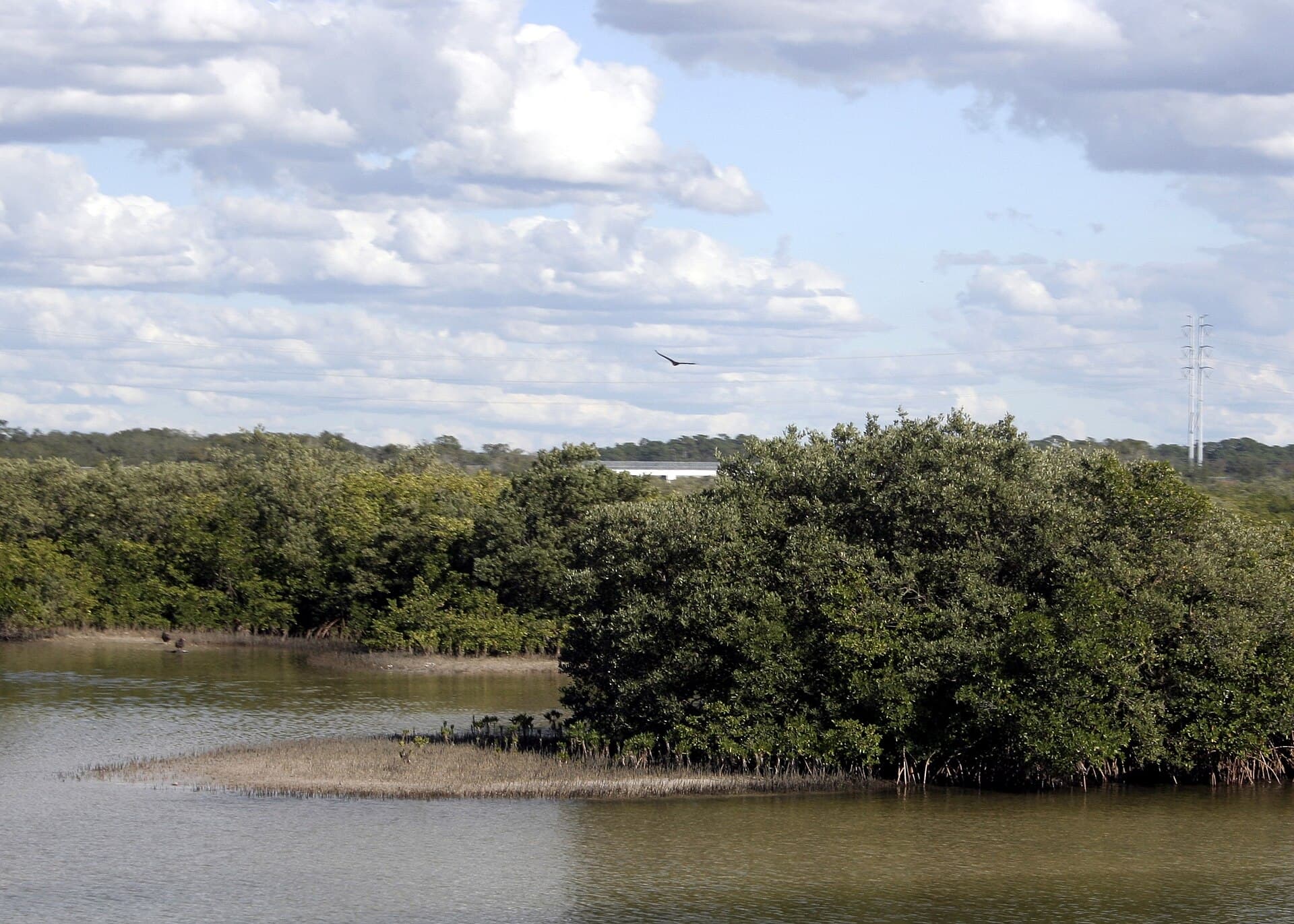 3,200-Gallon Chemical Spill at Duke Energy's Anclote Plant in Holiday Raises Water Safety Questions