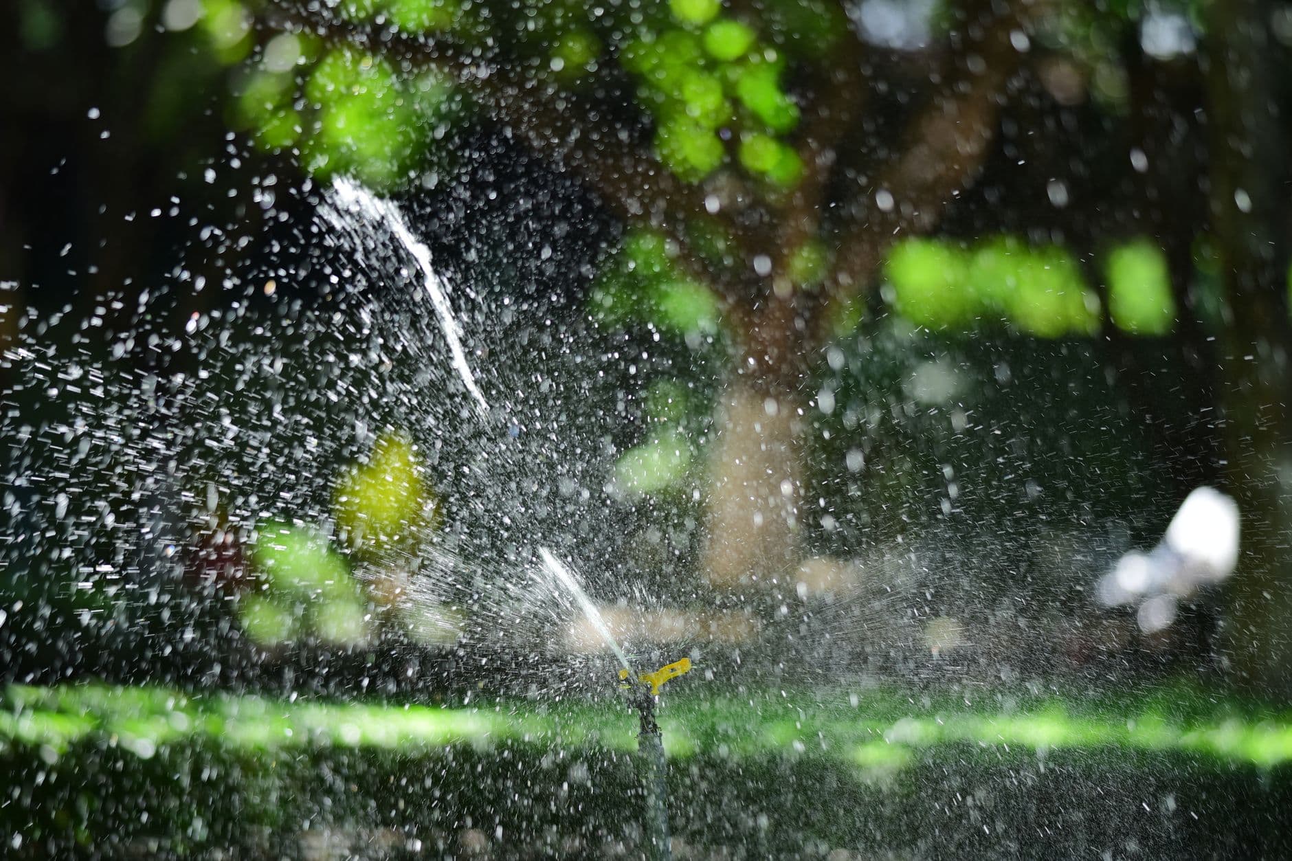 Pasco's One-Day-a-Week Watering Rule Stays Through March as Drought Drags On