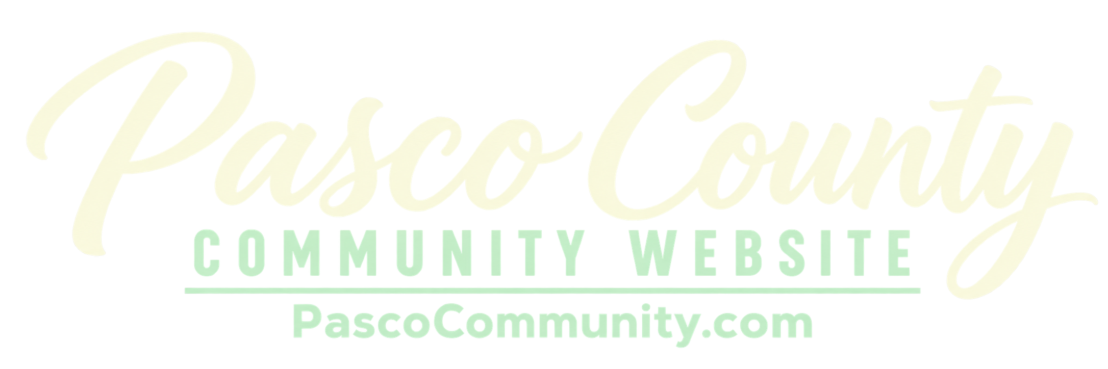 Pasco County Community Website